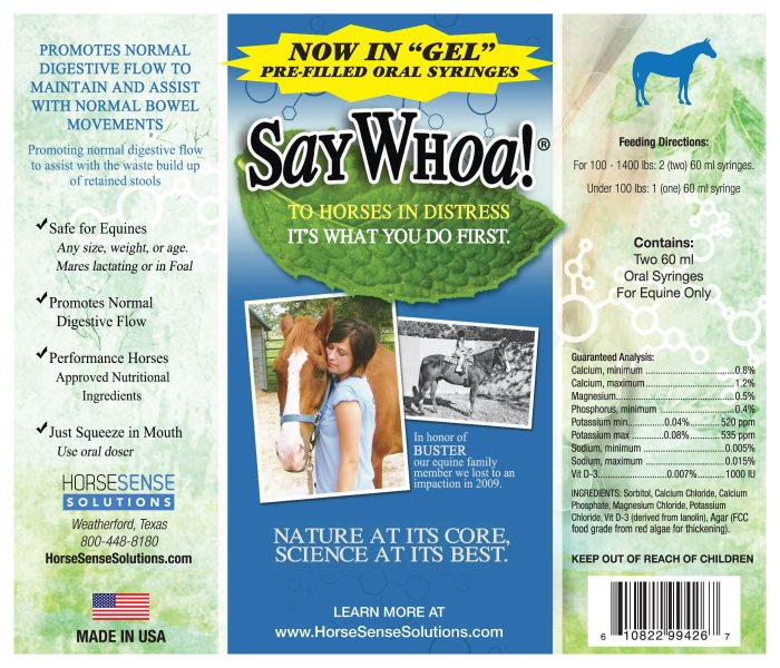 SayWhoa Paste or Gel for Horse Colic